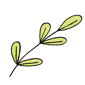 concept doddie illustratrice