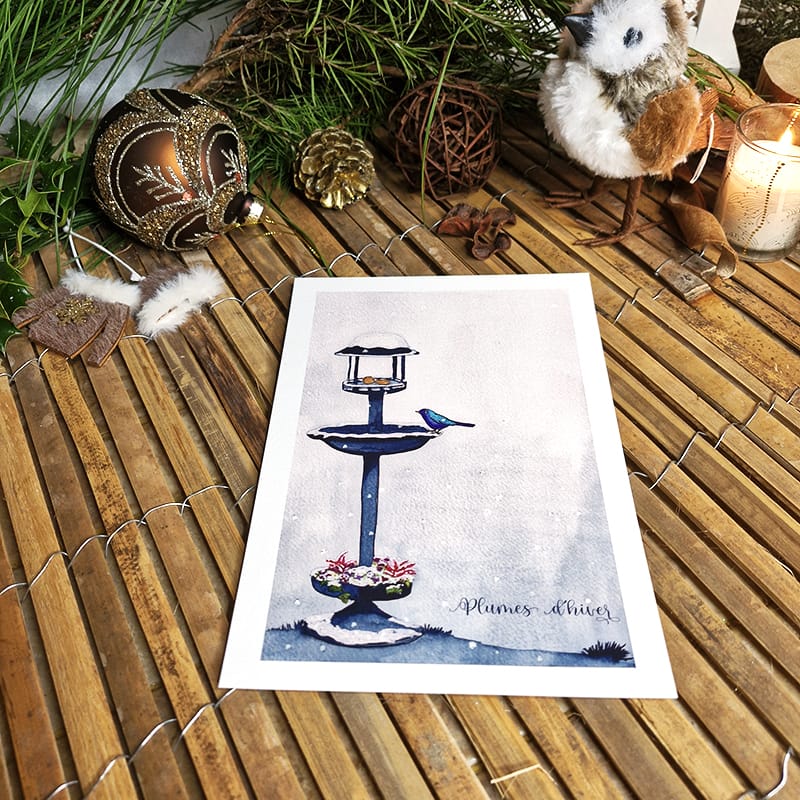 affiche plumes d'hiver