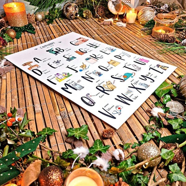 L'alphabet du chat – Collection Une Histoire de Chat