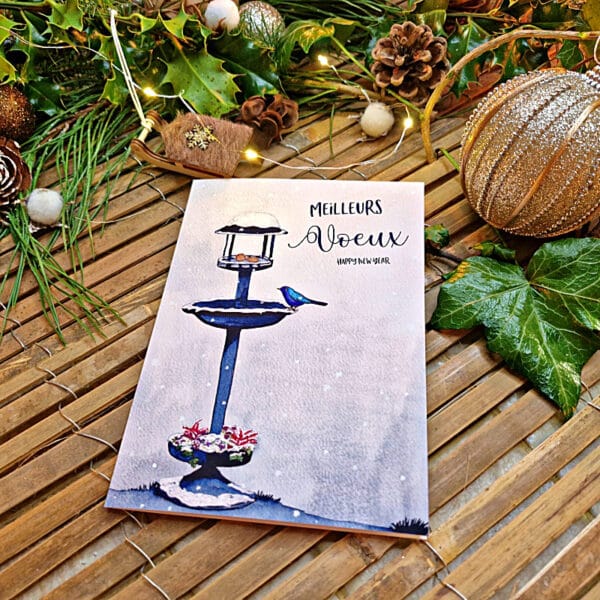 Carte de Vœux  Fontaine Plumes d'Hiver