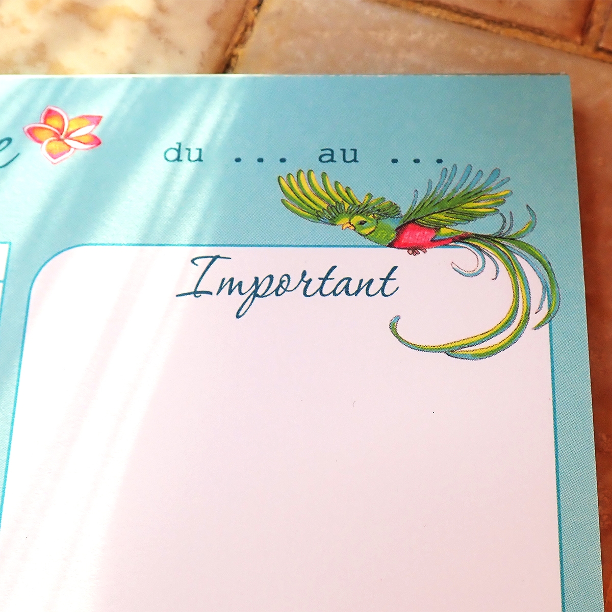 Planning semainier Tour du monde – Image 2