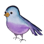 Oiseau-2