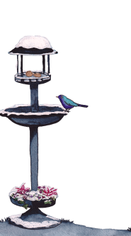 fontaine plumes d'hiver